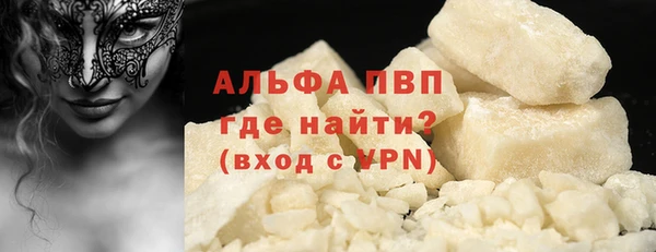 гидра Новодвинск