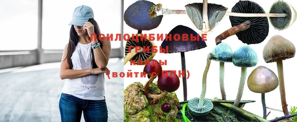 jwh Алзамай